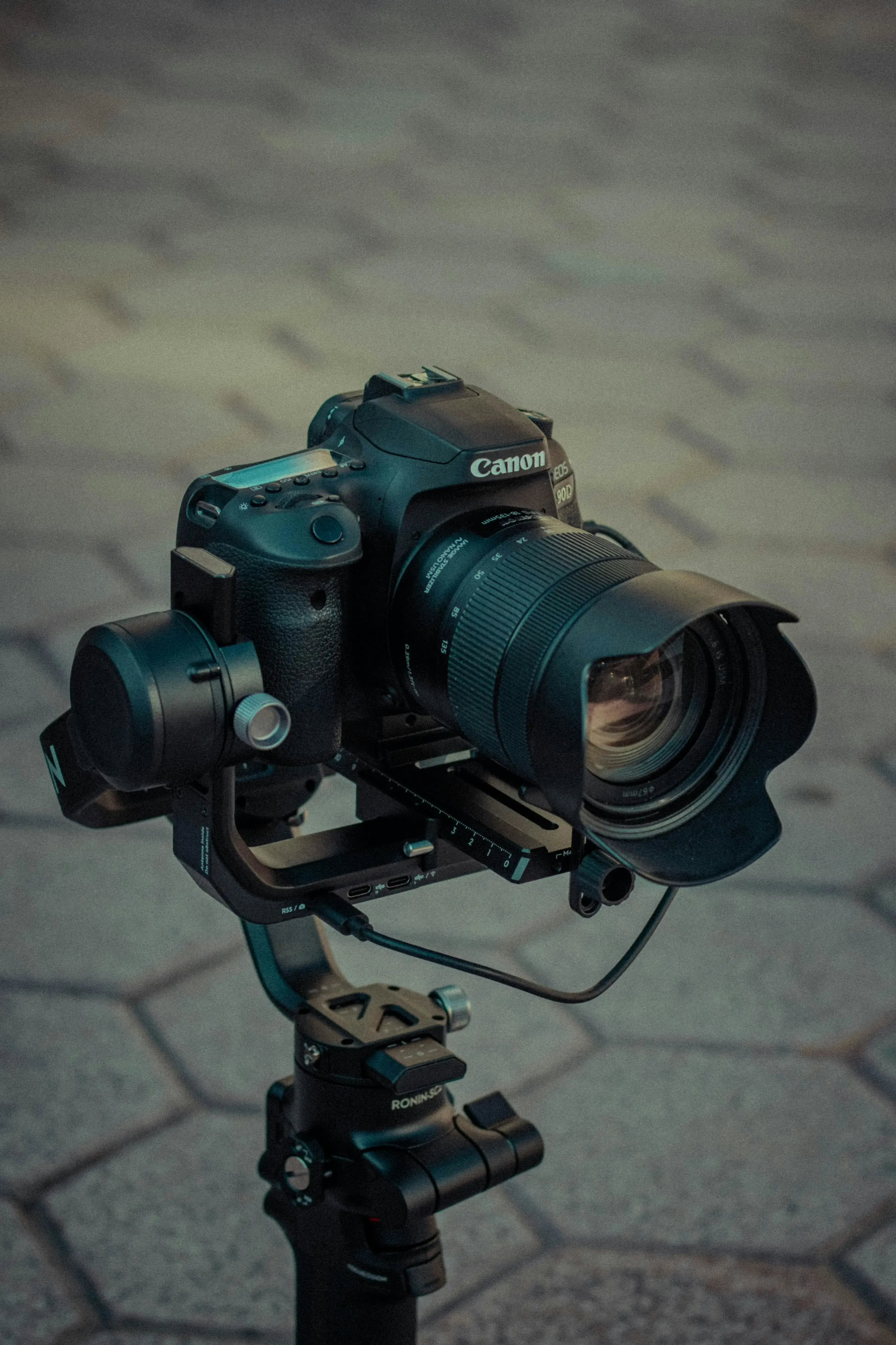 Professional Photography